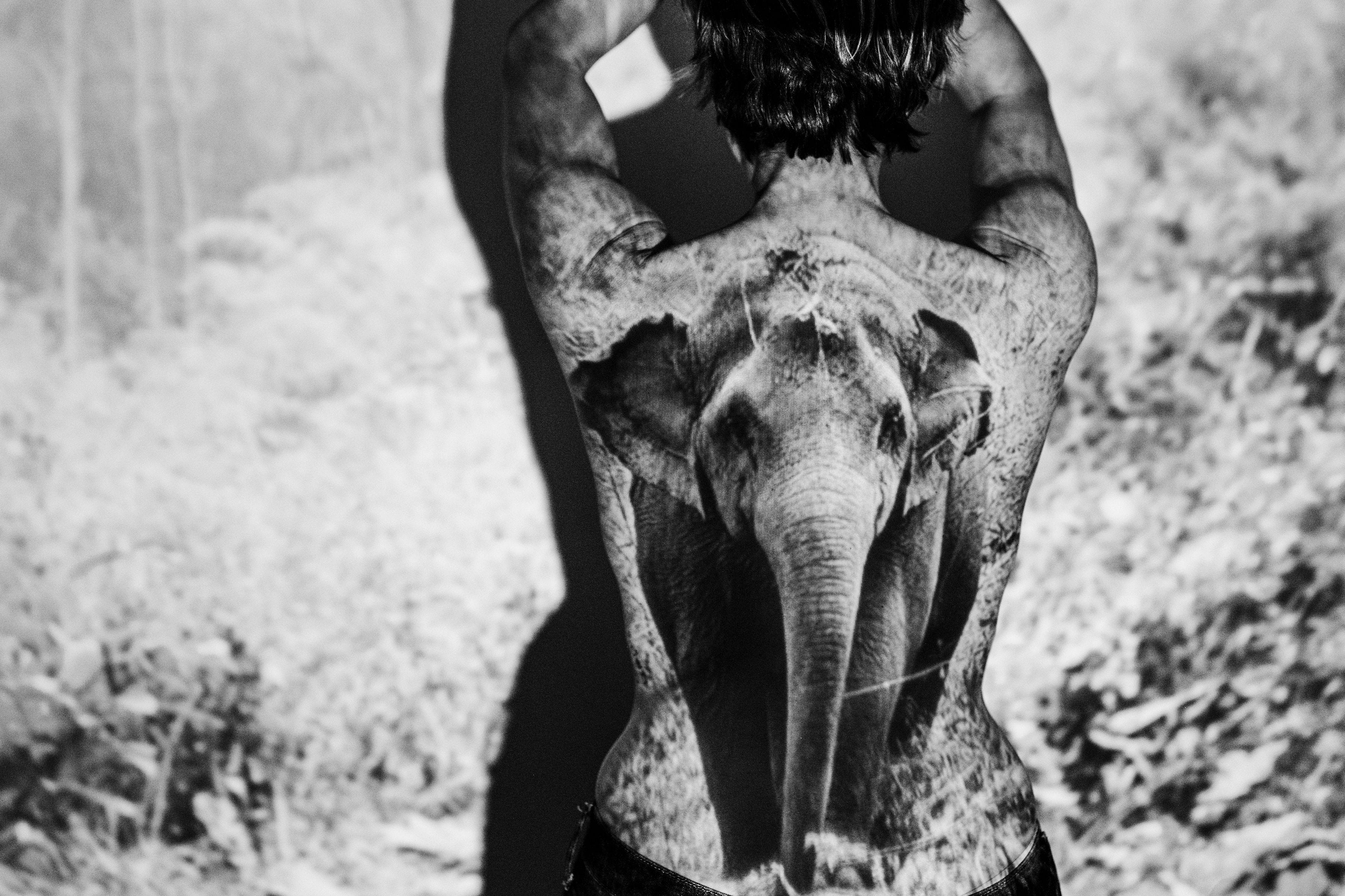 Intuition or lucky timing? - Jenn Forgie Creative