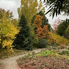 Friday Mood Recs: Feels Like Fall