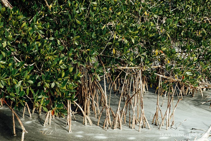 Trails around Everglades National Park