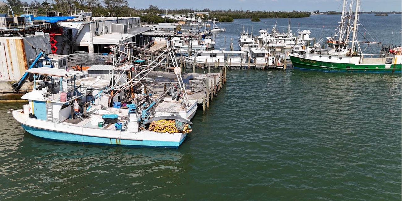 NOAA cuts could harm Southwest Florida fishing economy, threaten red tide research