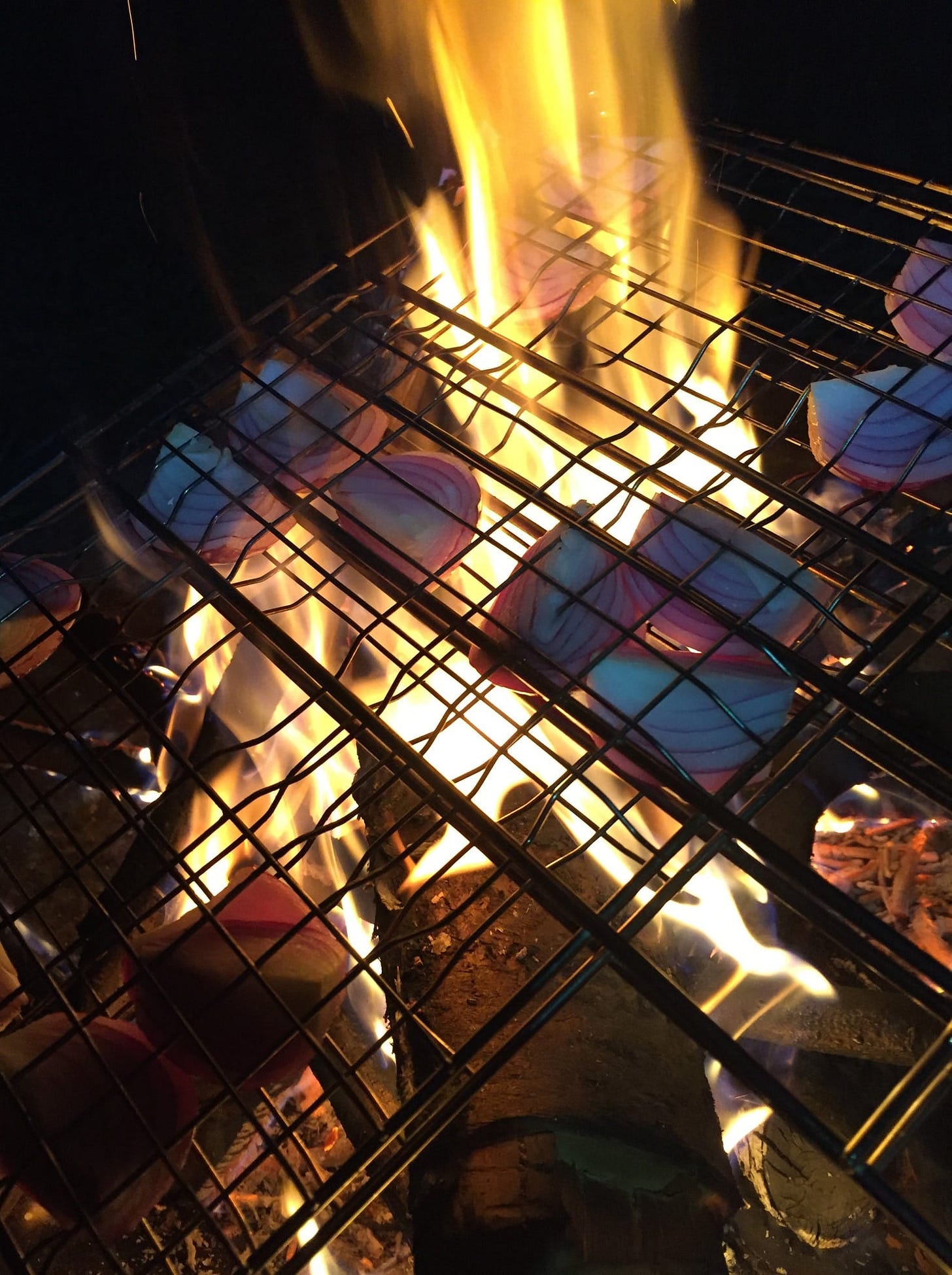 roasting onions over the open flames of an apple wood camp fire