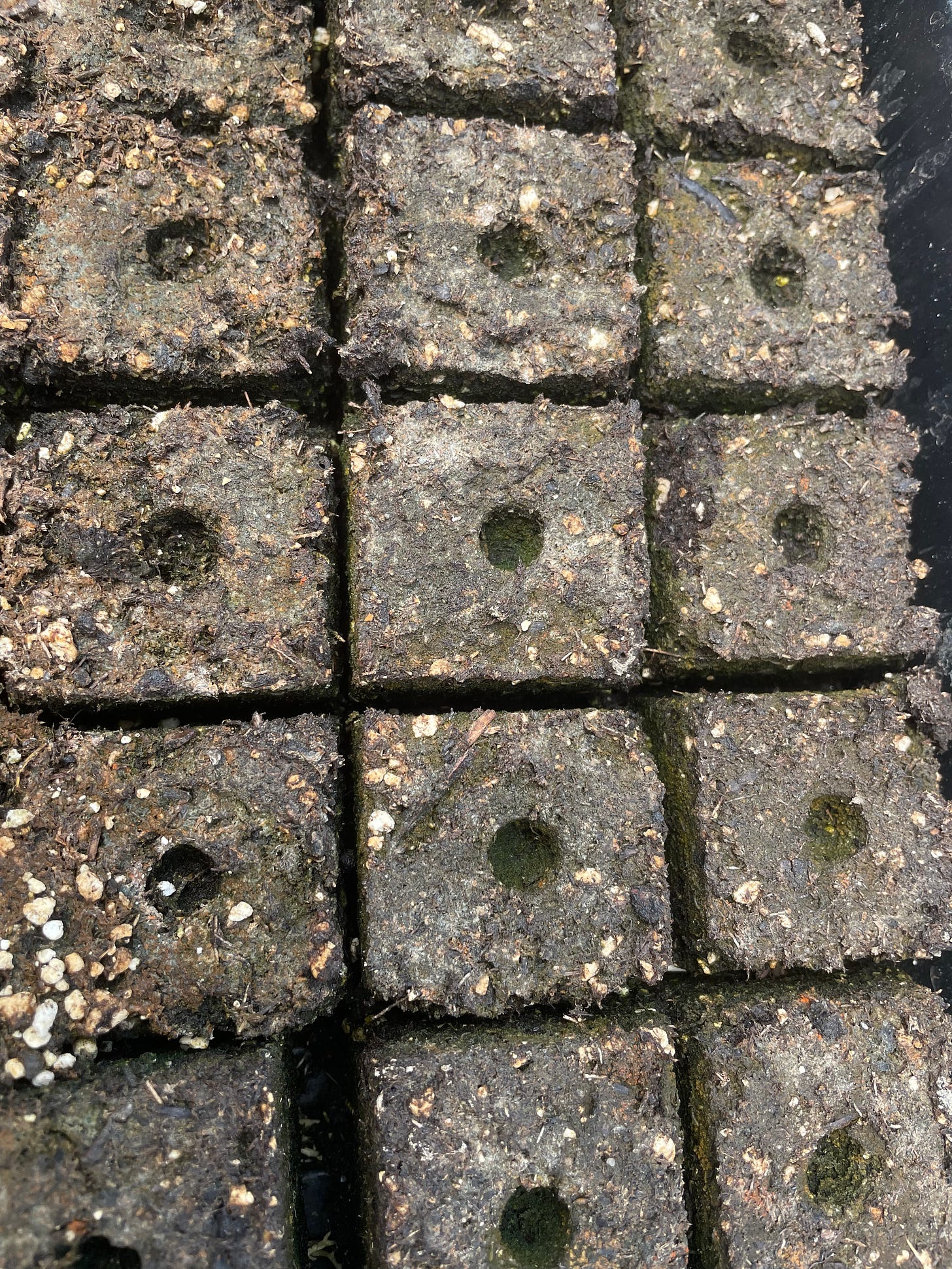 a close up of soil blocks