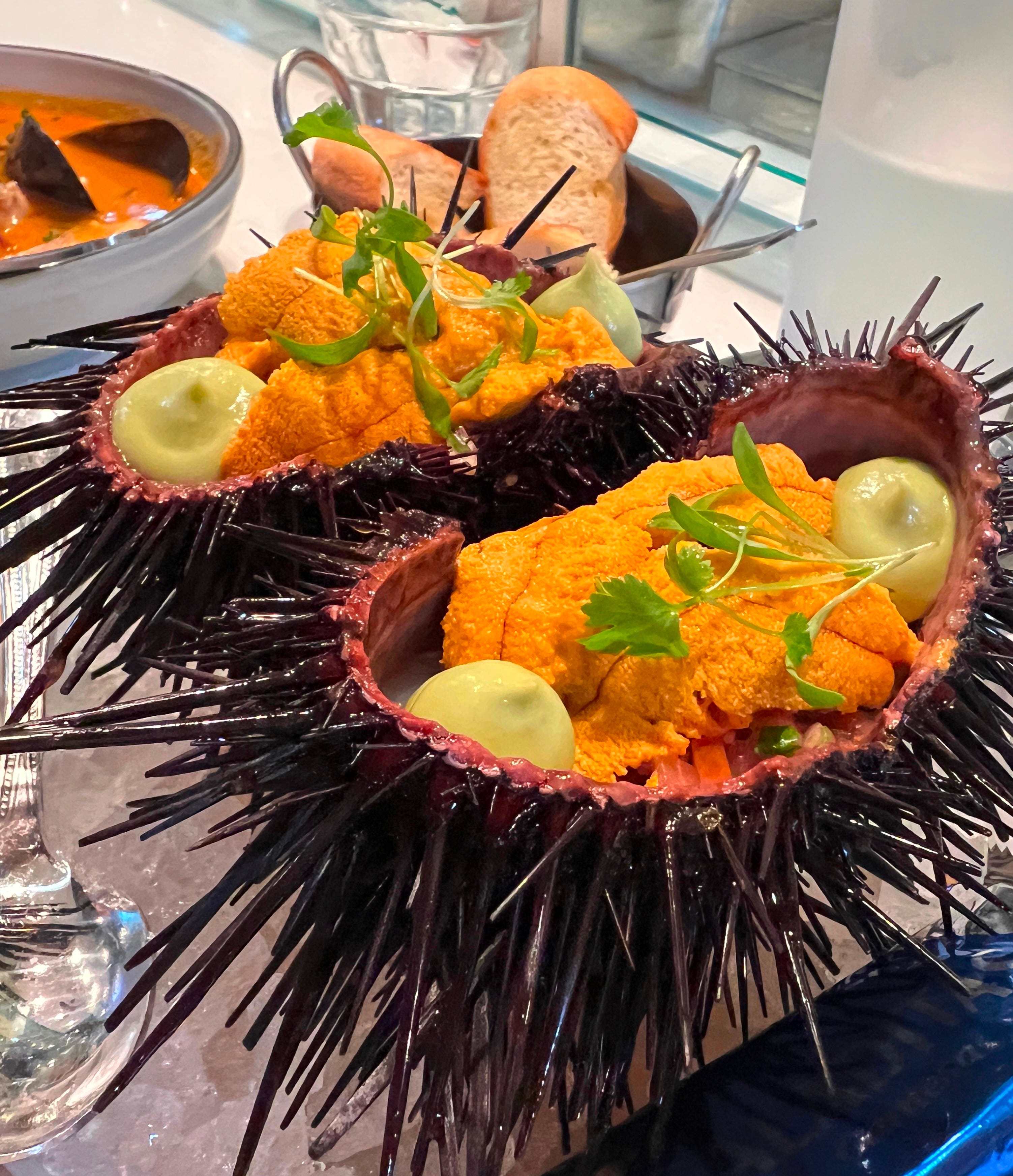 Holbox: The Cheapest Michelin Star Restaurant in the United States