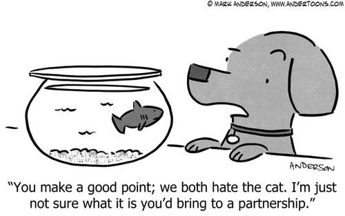 Pets Cartoon # 6912 - You make a good point; we both hate the cat. I'm just not sure what it is you'd bring to a partnership.