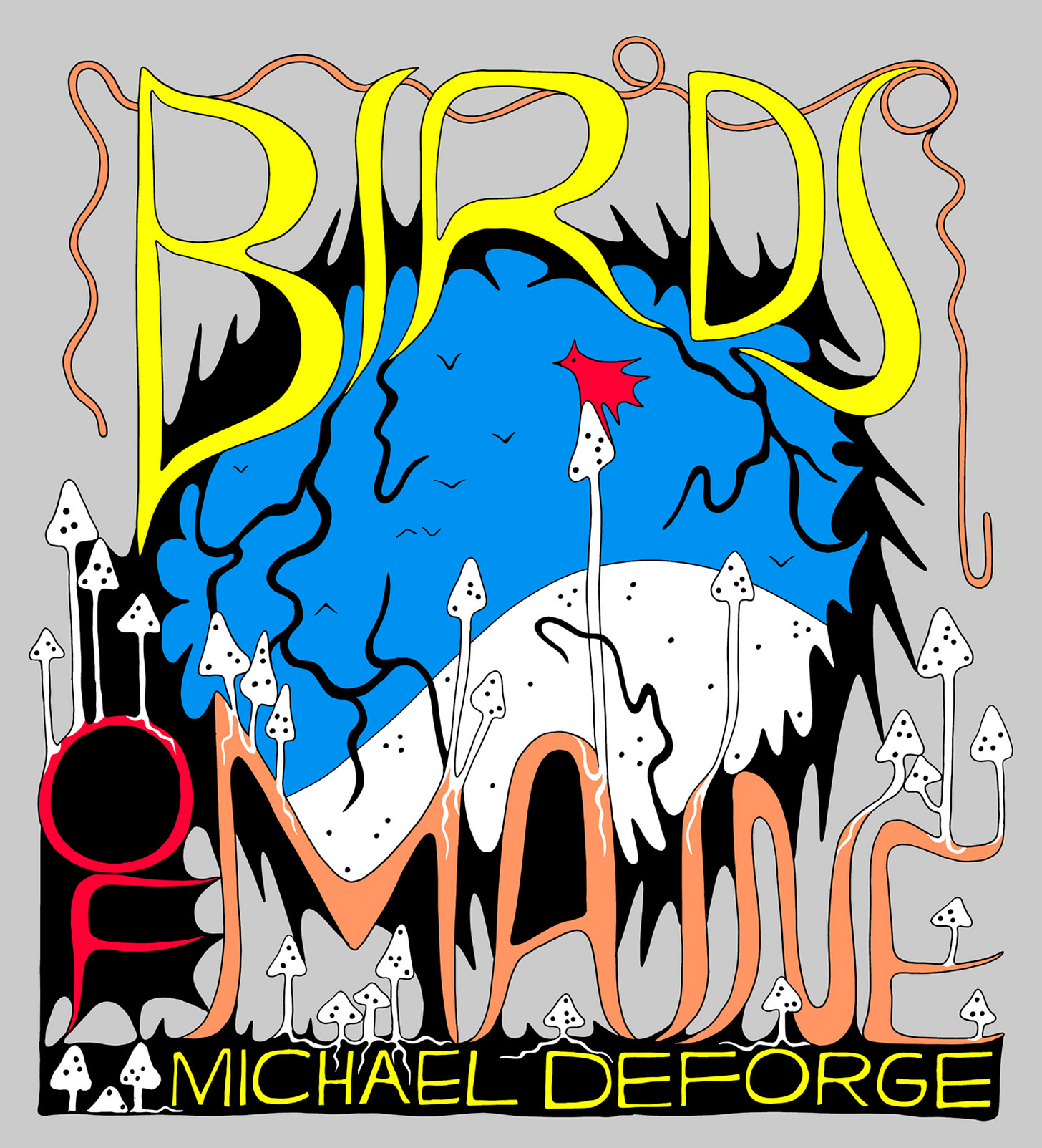 Birds of Maineの書影