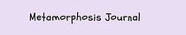 Metamorphosis Journal