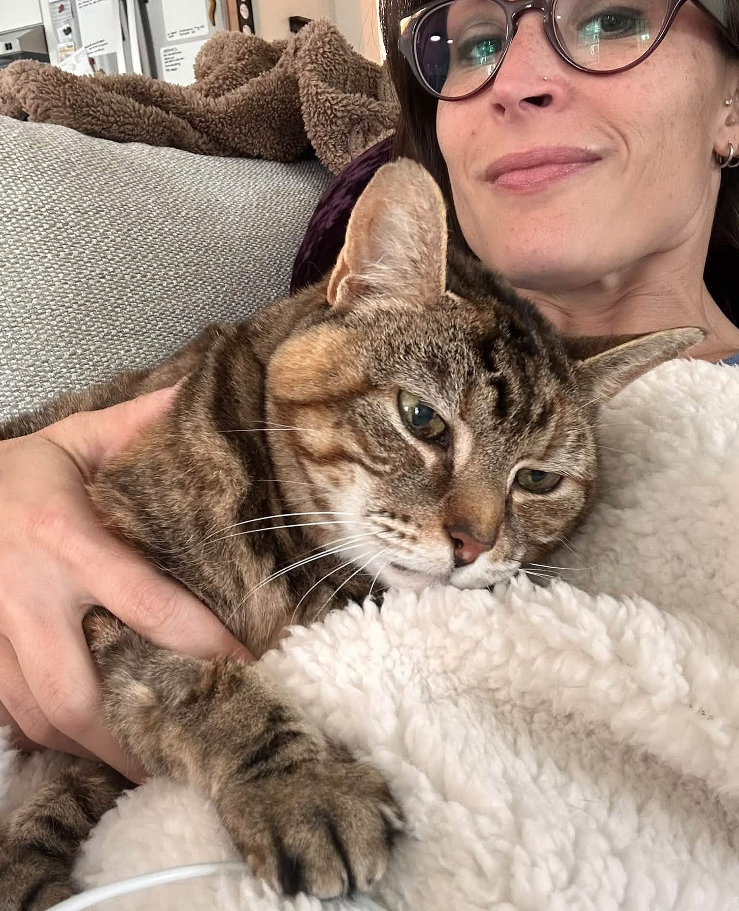 May be an image of cat May be an image of cat