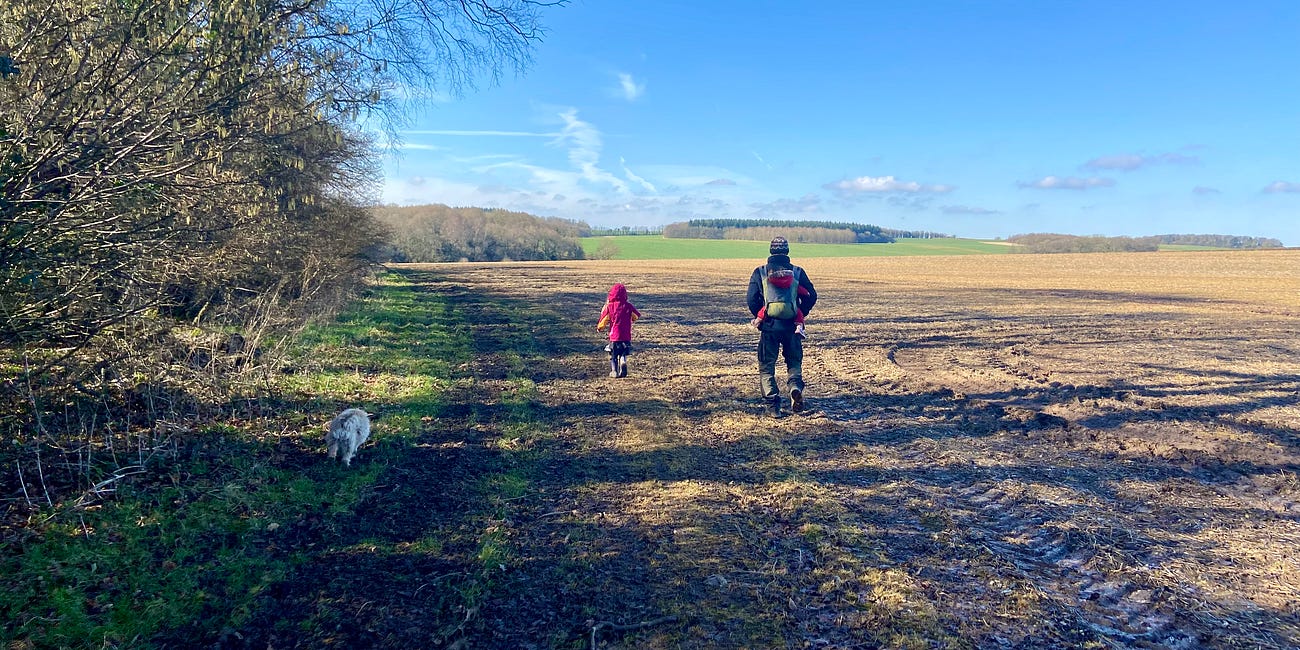 Field Notes from the Natural Learning Path — June 2026