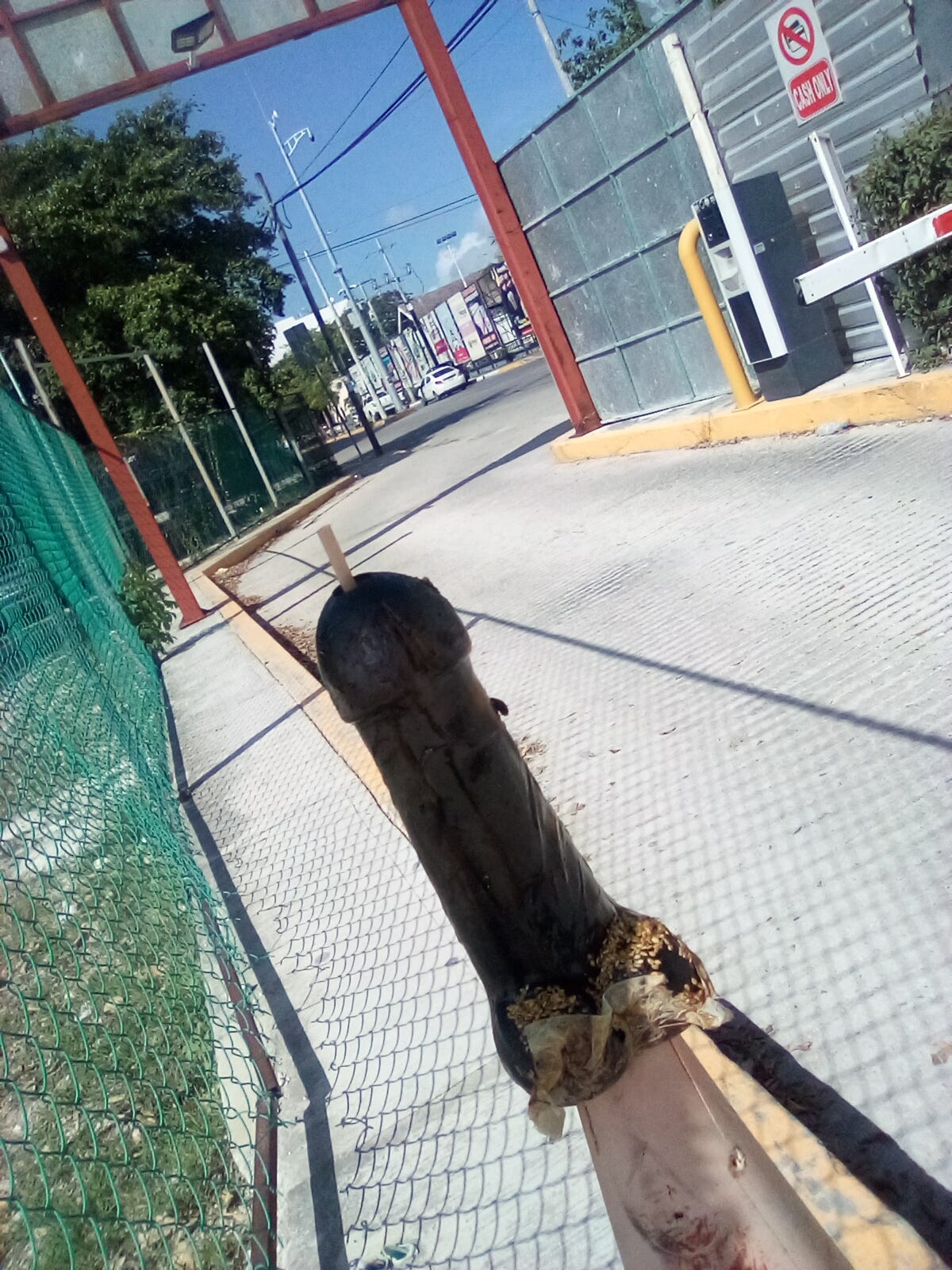 🕷️BLACK WIDOWS: The Semen Harvesters of the Post-Truth Age🕸️ 🕷️BLACK WIDOWS: The Semen Harvesters of the Post-Truth Age🕸️