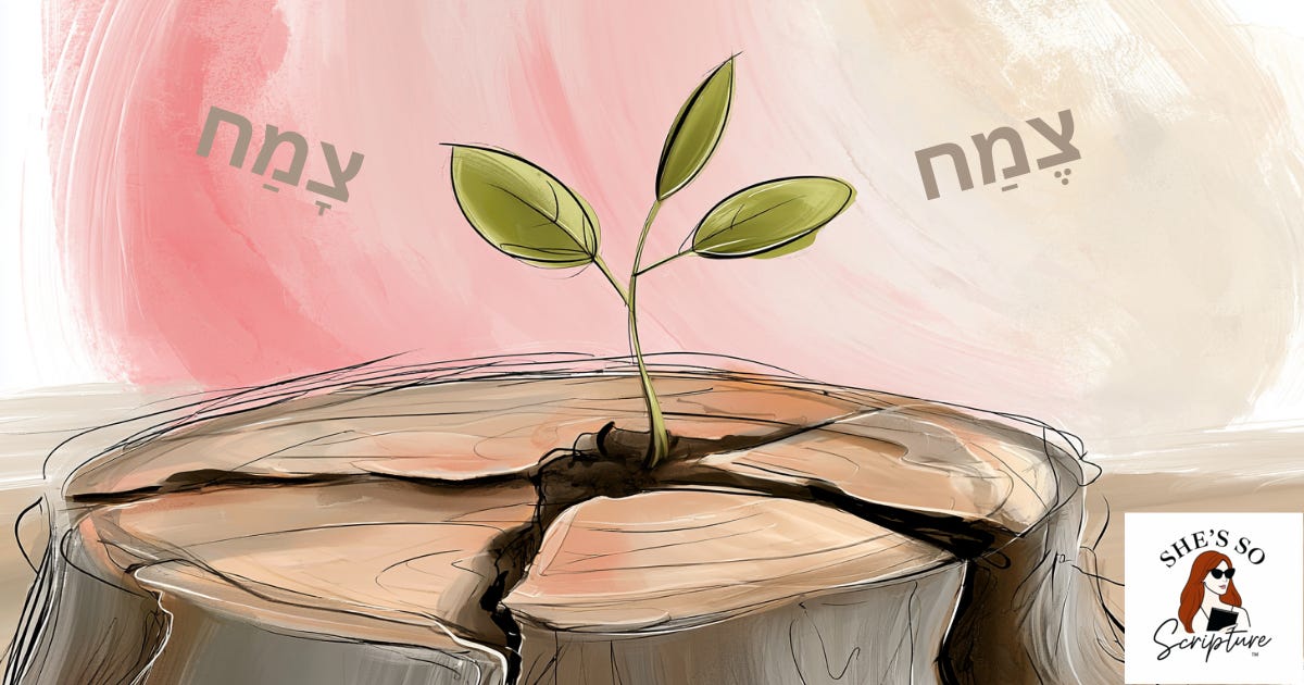 Whimsical watercolor illustration of a green sprout growing from a stump, blush pink and cream background, representing the Hebrew word tzamach. Whimsical watercolor illustration of a green sprout growing from a stump, blush pink and cream background, representing the Hebrew word tzamach.