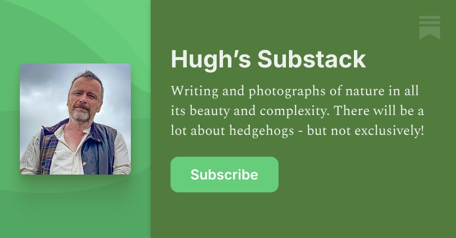 Hugh’s Substack | Substack