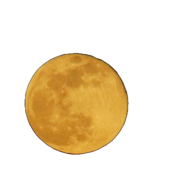 the moonlight also leaks