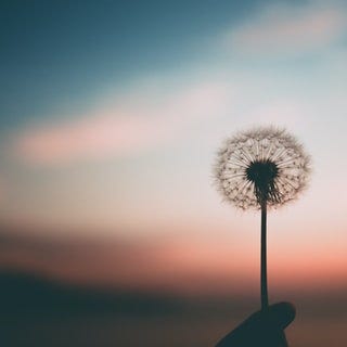 Unsplash Photo