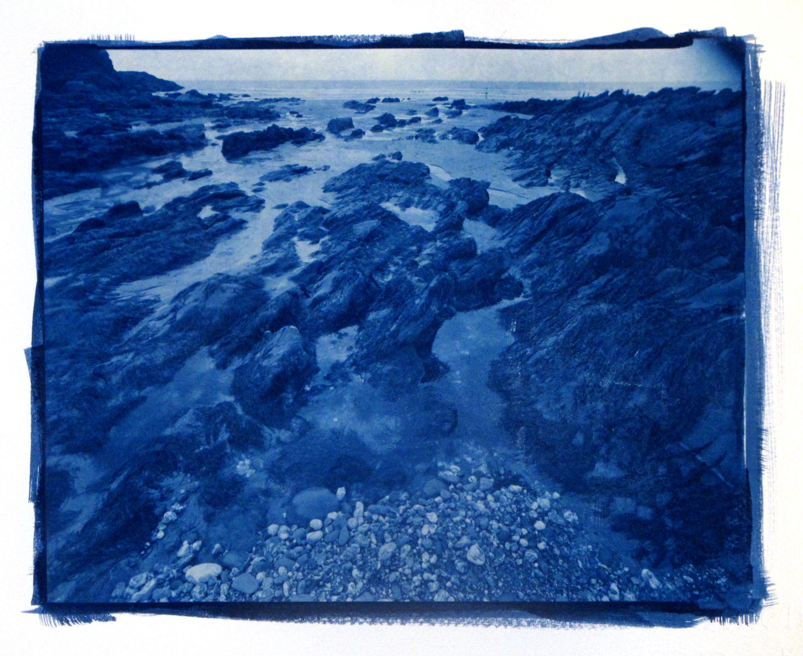 Cyanotype. - Andrew Sanderson