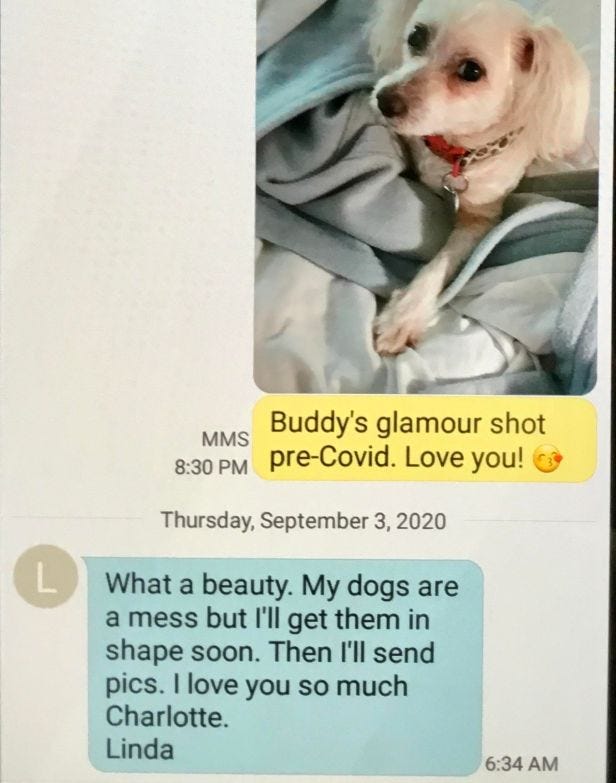 buddy glamour shot