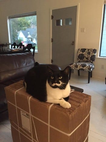 smith-on-packing-boxes smith-on-packing-boxes