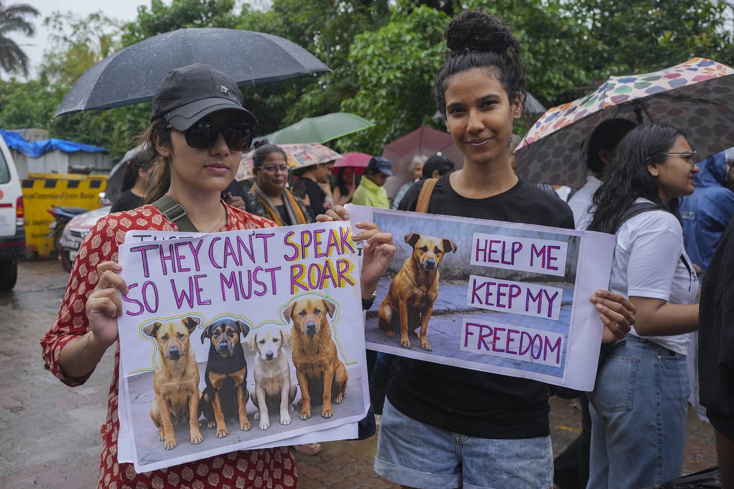 Two women hold placards in support of stray dogs, at a protest demonstration. Two women hold placards in support of stray dogs, at a protest demonstration.