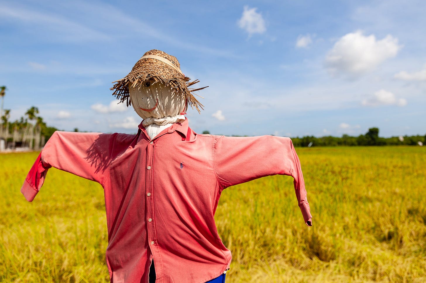 Scarecrows – DIY Project - Grangetto's Farm & Garden Supply