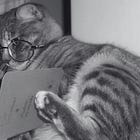 Reality Show #11 - Diga-me o que lês e eu direi como escreves