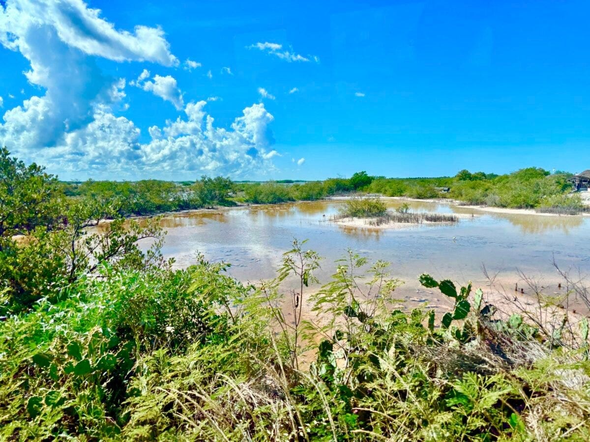 Merida weather with blue skies, few clouds over a lagoon with vegetation Merida Yucatan Merida weather with blue skies, few clouds over a lagoon with vegetation Merida Yucatan