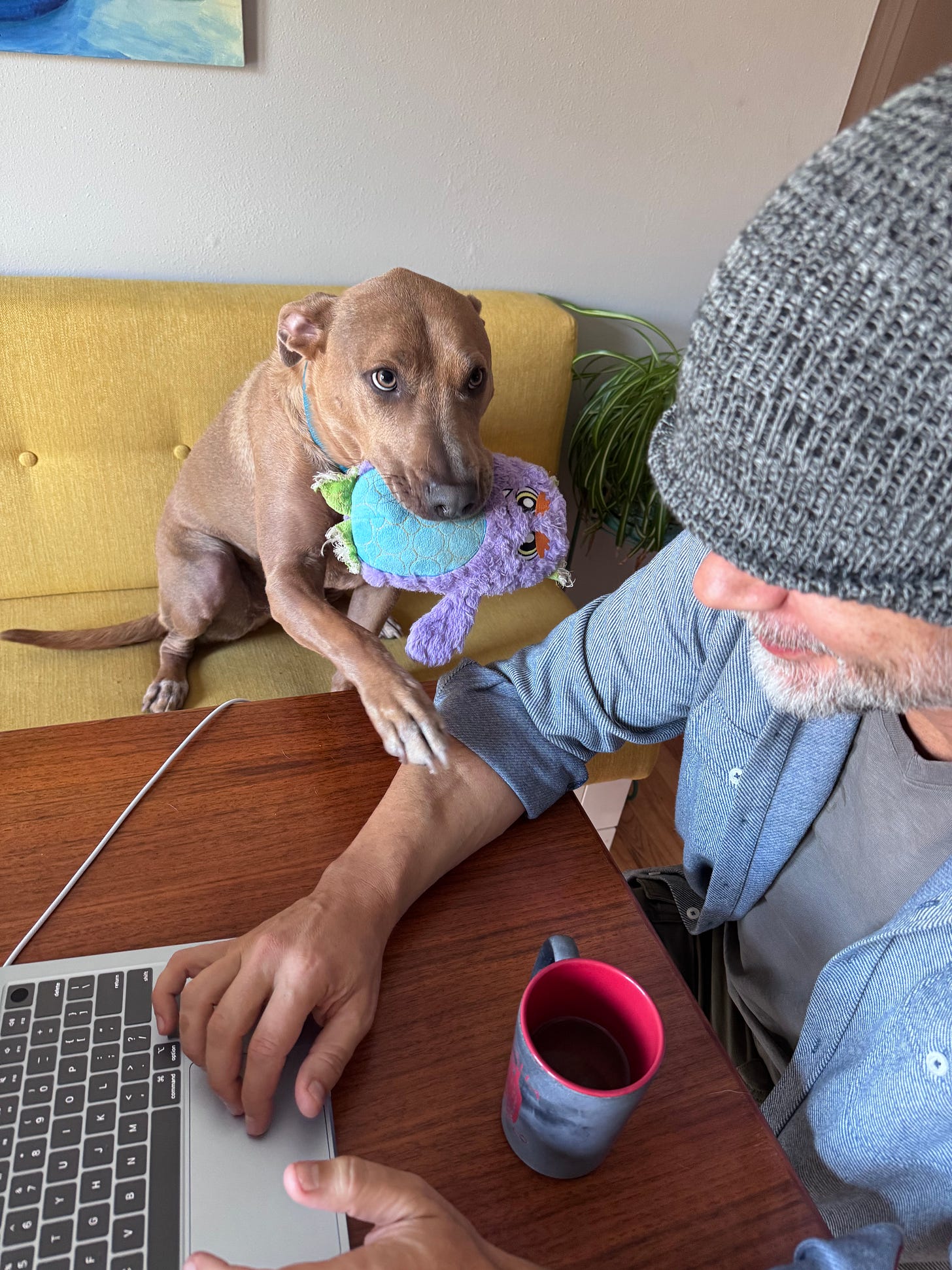 Quit, I’m trying to write an anniversary email!