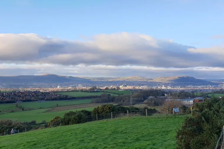 A green field with trees and a city in the distance

Description automatically generated