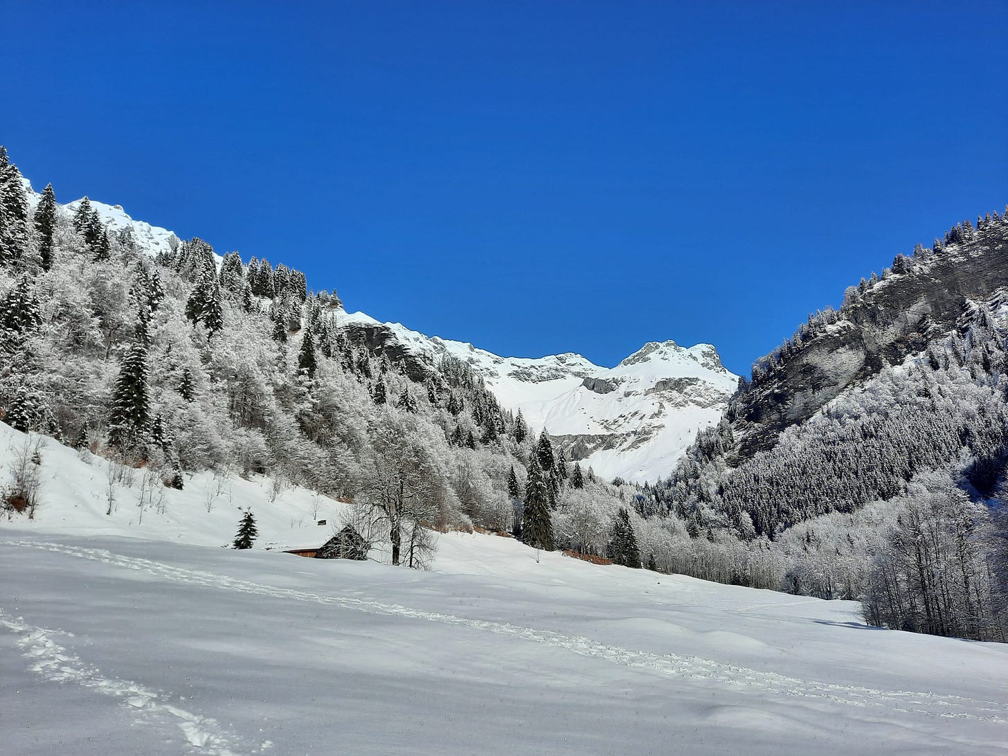 Snowy panorama in the mountains