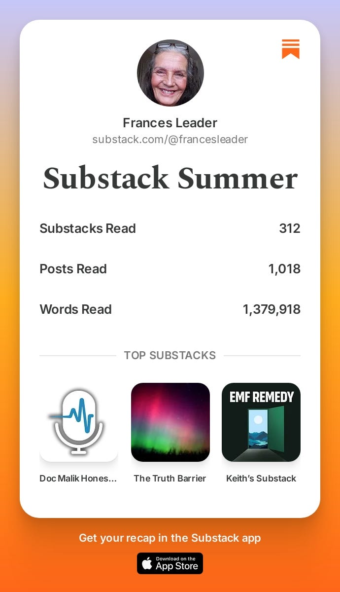 Substack Summer