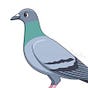 PXP's avatar