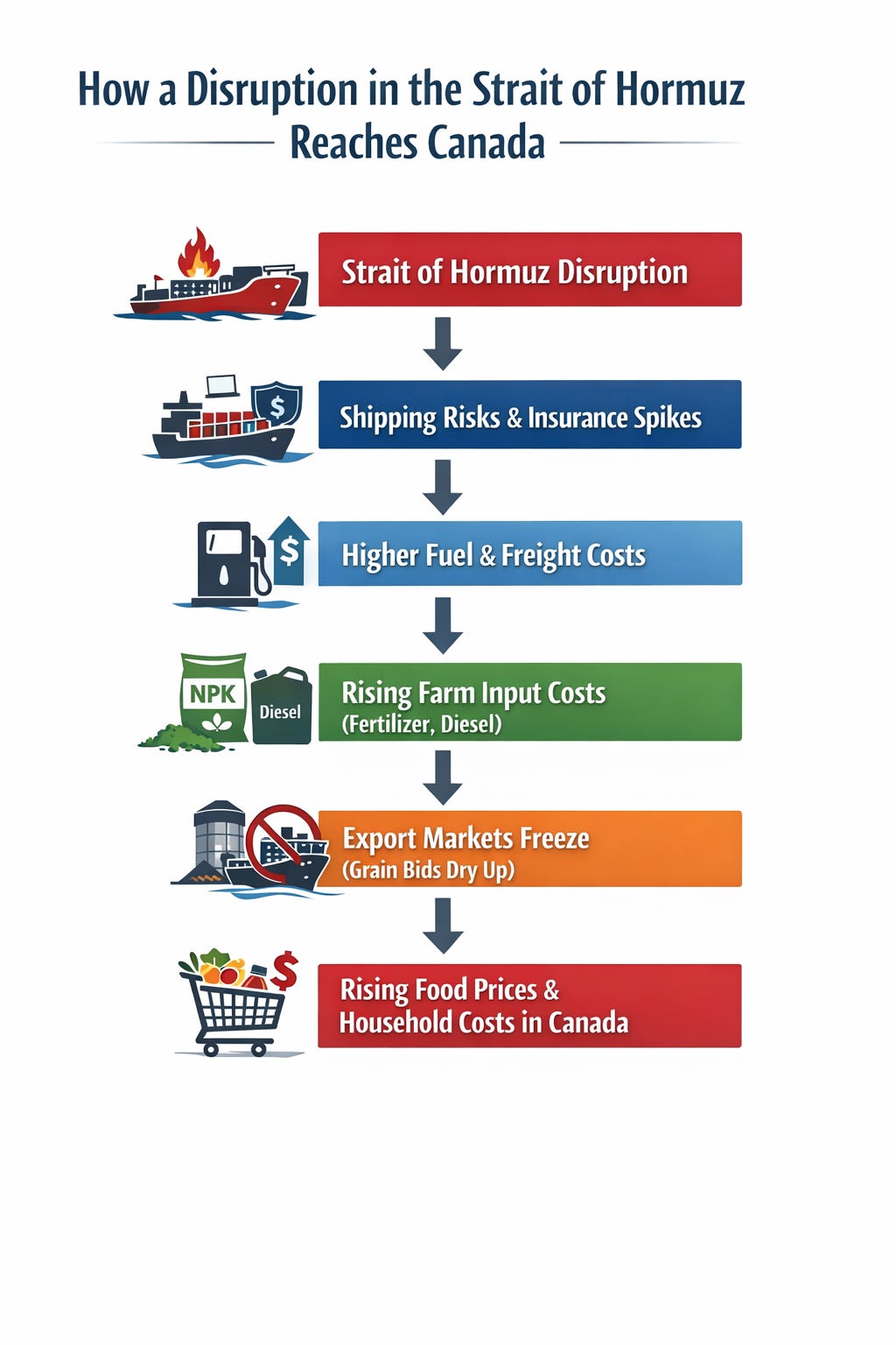 Strait of Hormuz Disruption: What the Global Supply Chain Shock Means ...