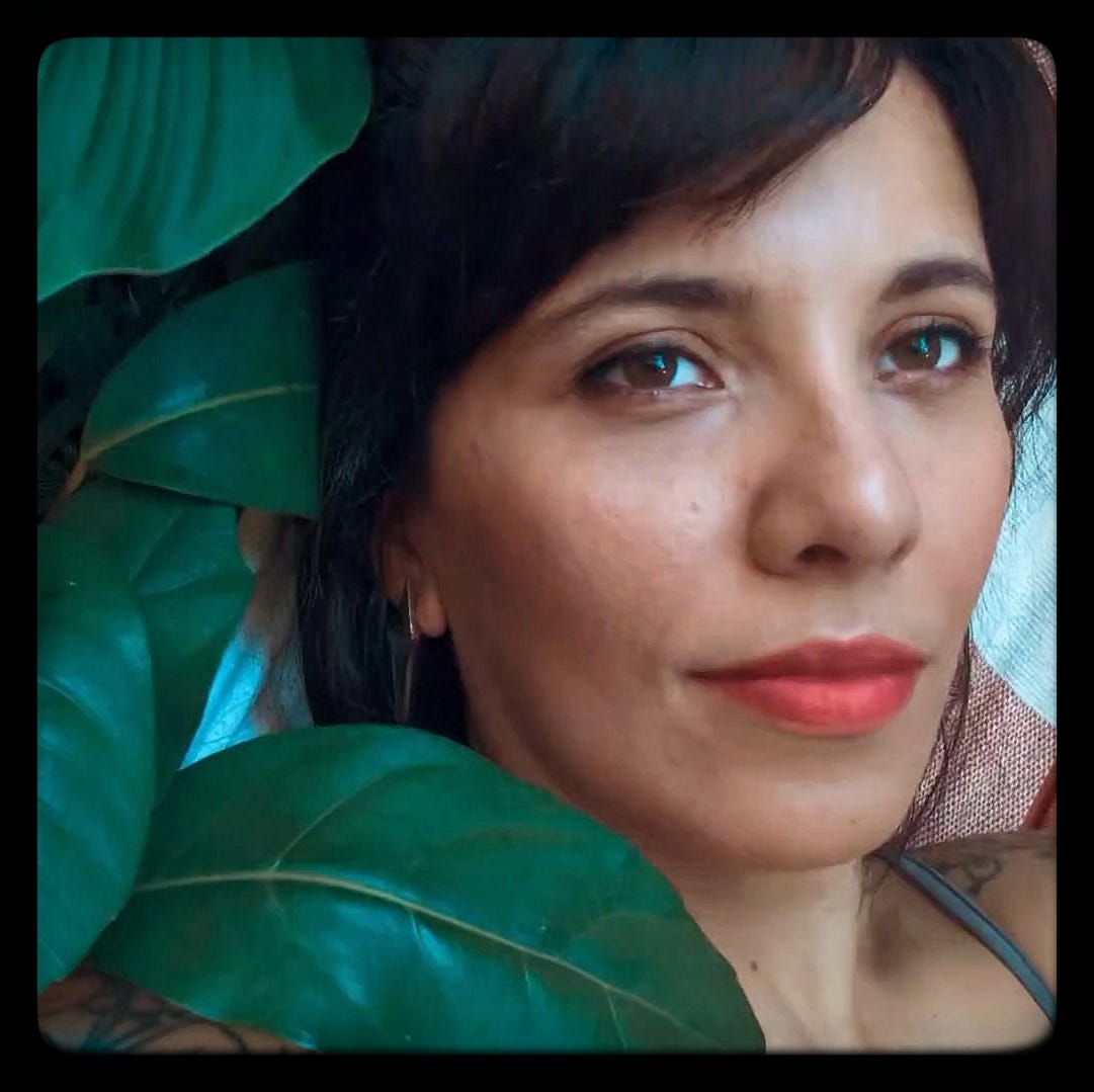 Elissa Rocabado Newsletter