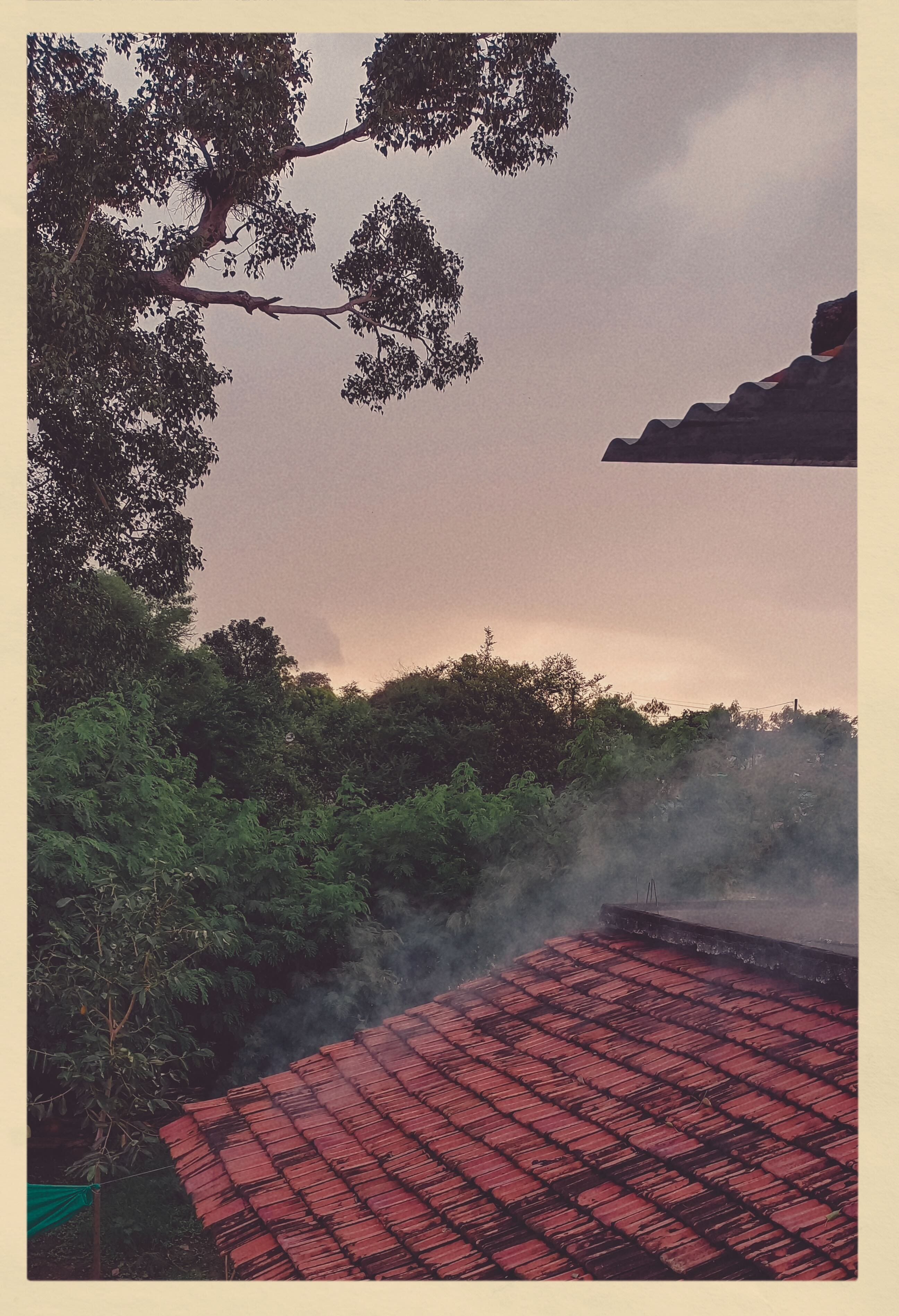 Last look before leaving