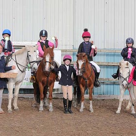 Double clears all the way for Mulligan at Connell Hill Training Show