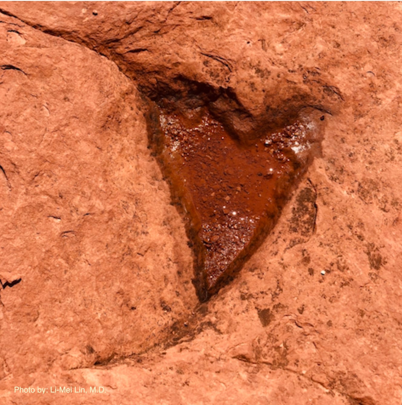Heart-shaped red rock by Li-Mei Lin, M.D. Heart-shaped red rock by Li-Mei Lin, M.D.