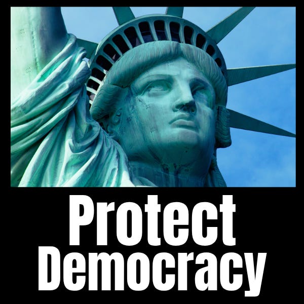 Defend and Protect Democracy logo
