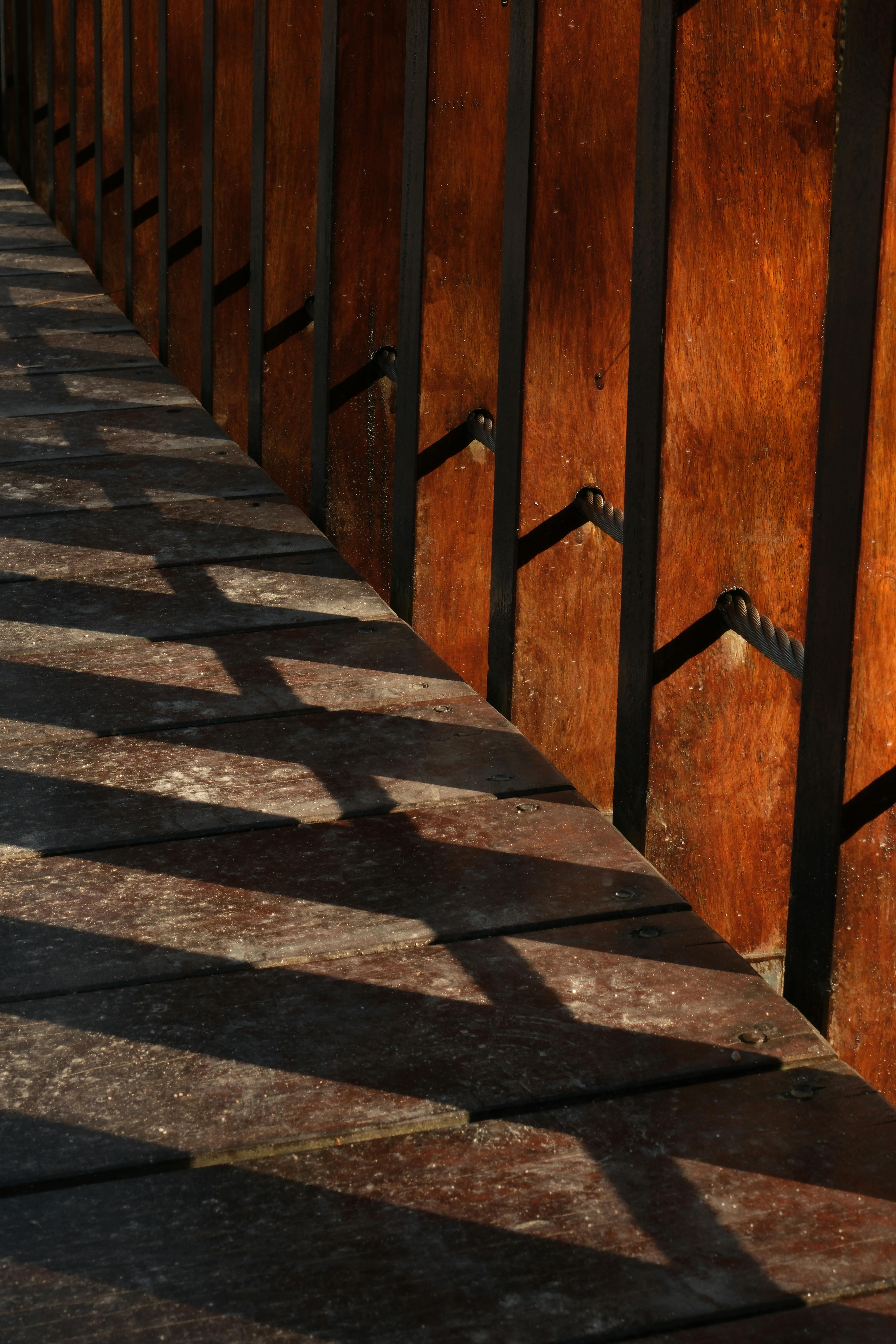 genevahealthfiles.substack.com - Priti Patnaik - GHF Q4 Wrap: October-November-December