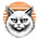Solar Kitties Alt Investments's avatar