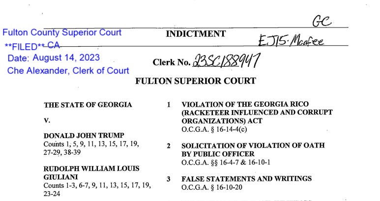 The Georgia Indictment