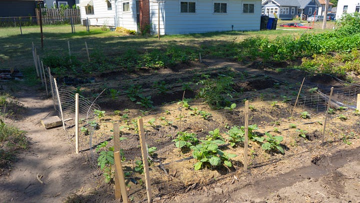 A wooden stick with writing on it in a garden stating 'Oseille vegetables more vitamin C'.  A fenced garden with a lot of plants growing in it.