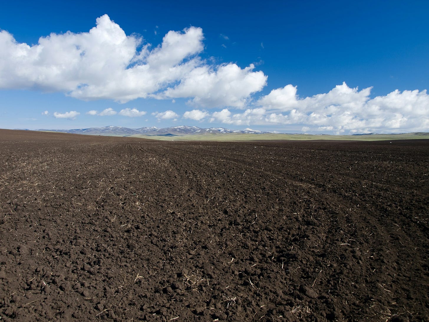Image of rich soil. Credit: Unsplash - Zbynek Burival