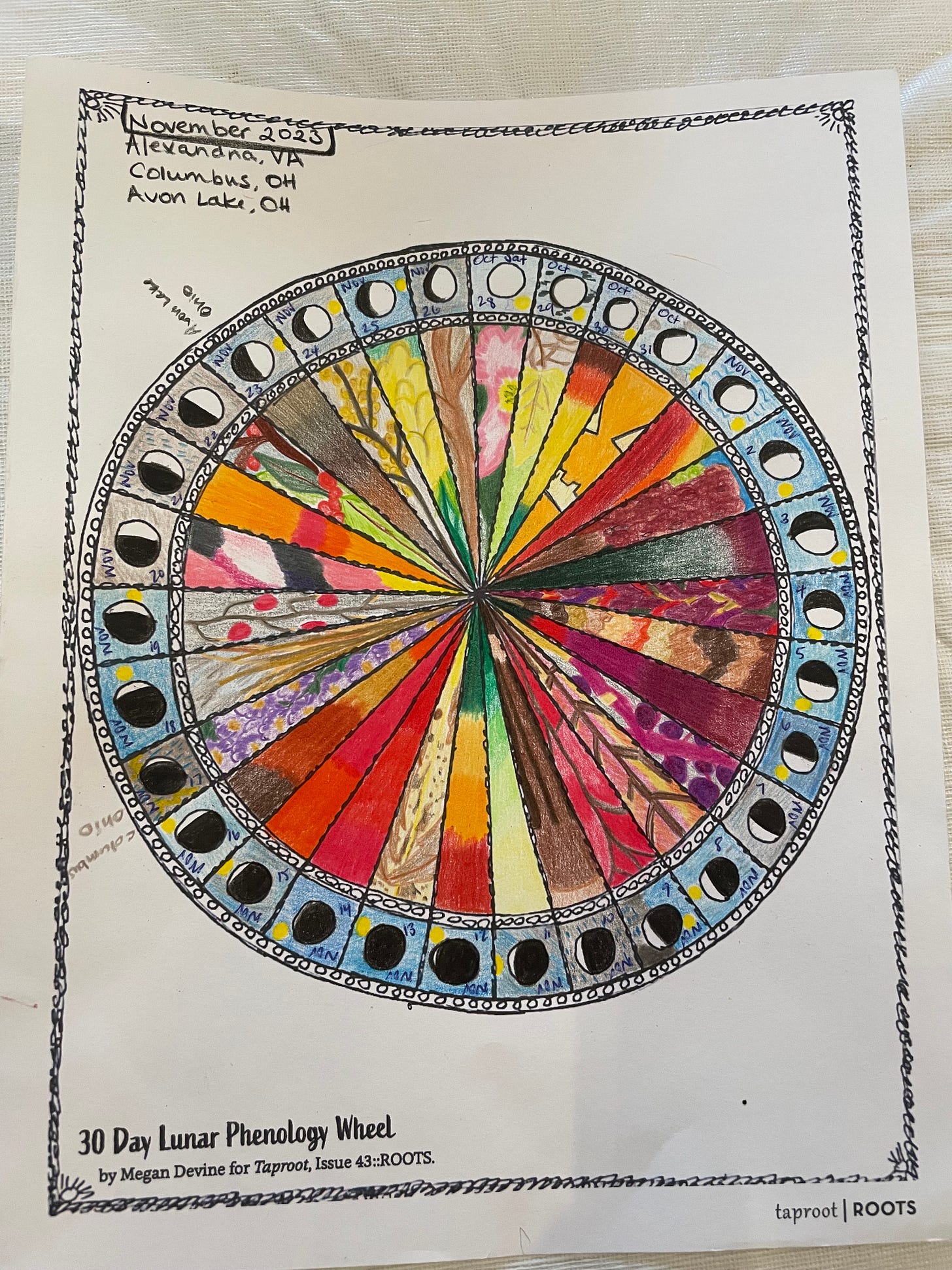 phenology wheel for November 2023
