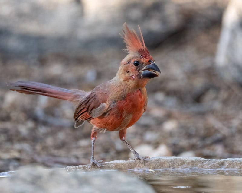 20250911-mby-115-Edit.jpg 20250911-mby-115-Edit.jpg