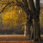 Y’a pu de beurre de peanut – Épisode 1