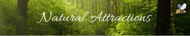 Natural Attractions