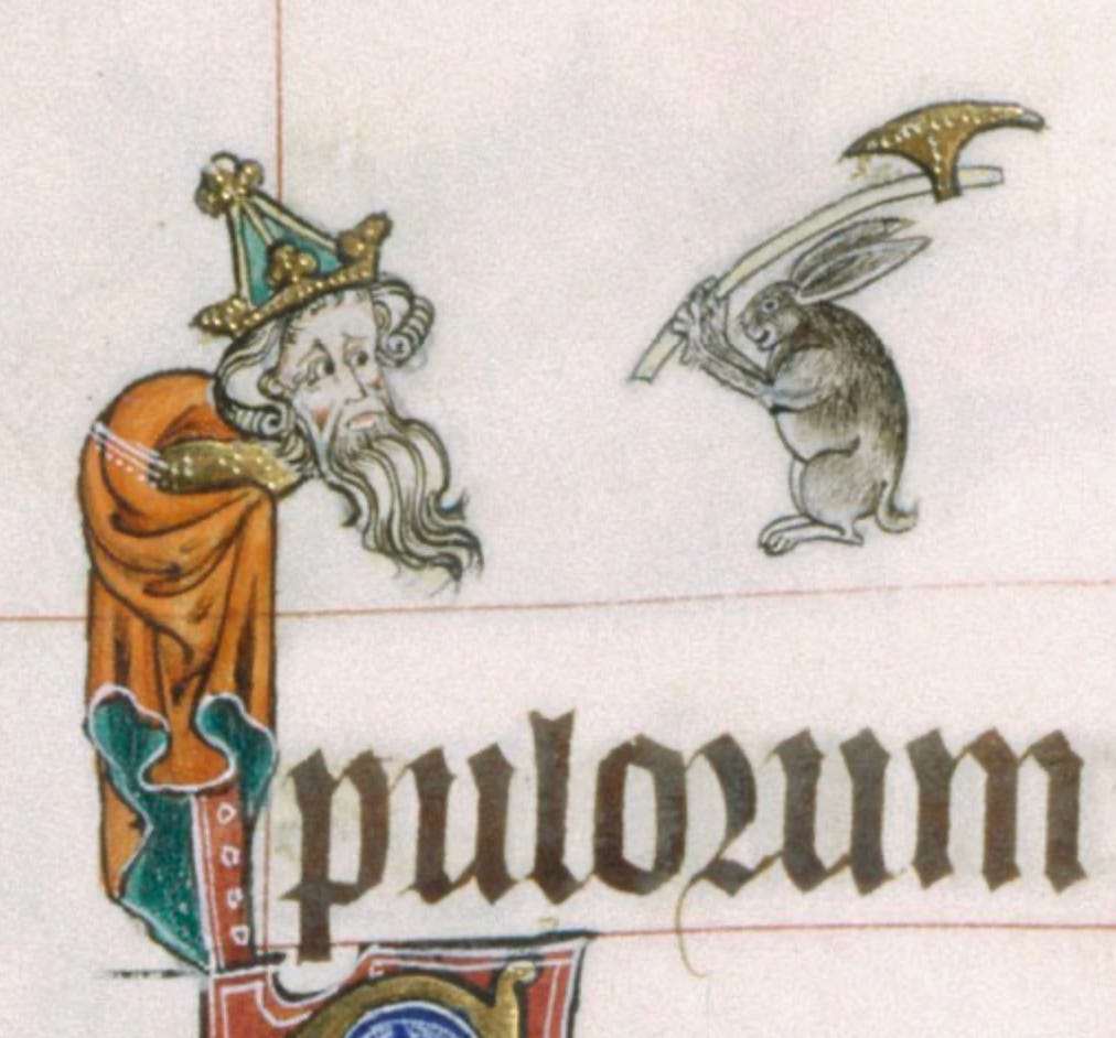 12 Medieval Rabbits to Help You Celebrate Spring