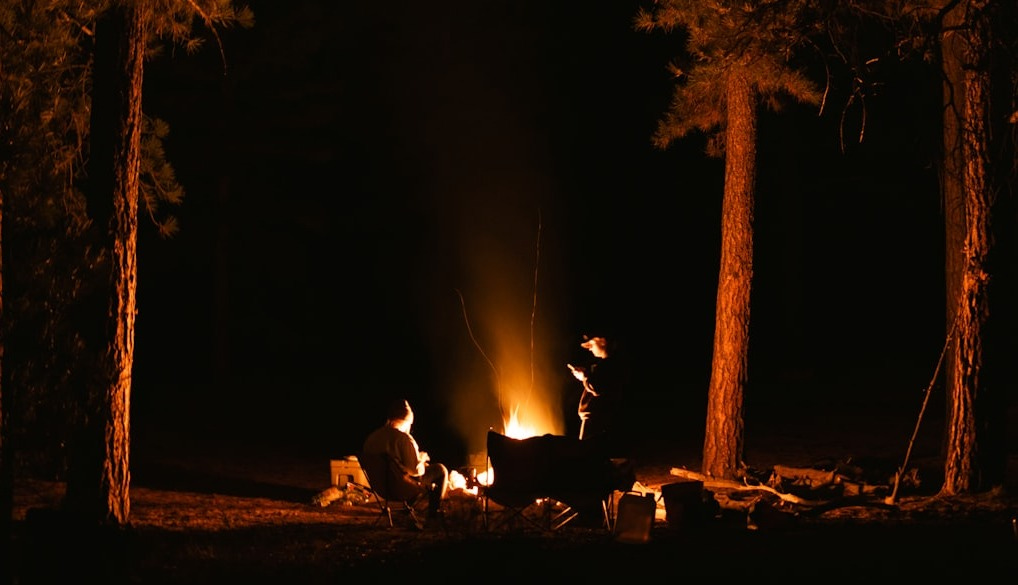 Campfire glowing brightly at night between trees