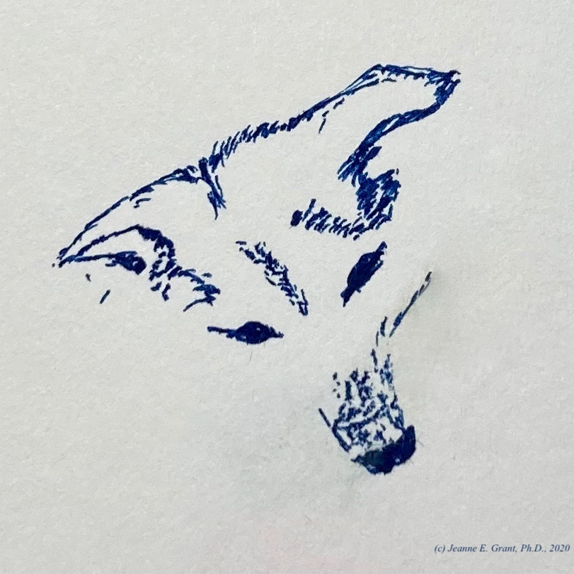 Head Scratcher Newsletter