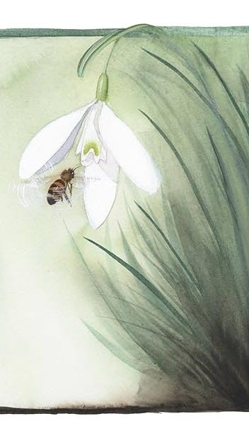 The Poet and the Bees: A Story of the Seasons Sylvia Plath Kept Bees: Novesky, Amy, Love, Jessica: 9780593526392: Amazon.com: Books The Poet and the Bees: A Story of the Seasons Sylvia Plath Kept Bees: Novesky, Amy, Love, Jessica: 9780593526392: Amazon.com: Books