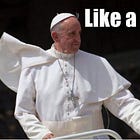 Pope Francis Barely Noticed Kim Davis On Way To Brunch With His Gays