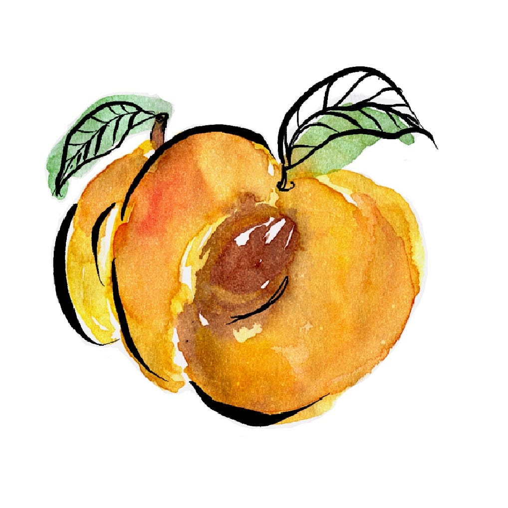 Emily Luchetti • Apricot Perigee 